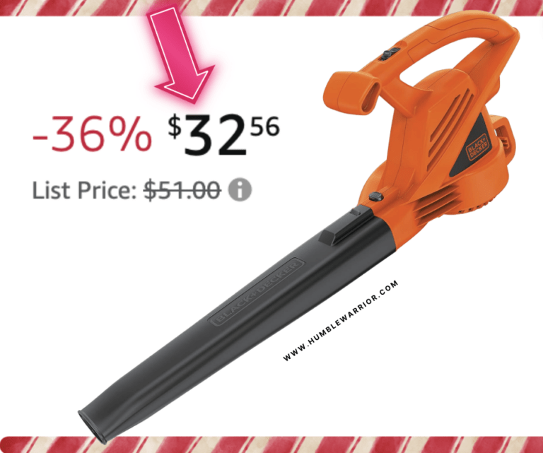 BLACK+DECKER Electric Leaf Blower!